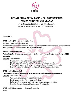Programa del Debate en la Optimizaci&oacute;n del Tratamiento en CCR en L&iacute;neas Avanzadas