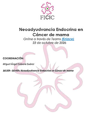 Programa de la sesi&oacute;n sobre neoadyuvancia endocrina en c&aacute;ncer de mama organizada por FICIC en octubre de 2026