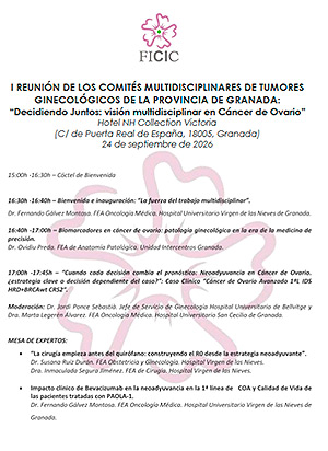Programa de la I Reuni&oacute;n de los Comit&eacute;s Multidisciplinares de Tumores Ginecol&oacute;gicos de la Provincia de Granada